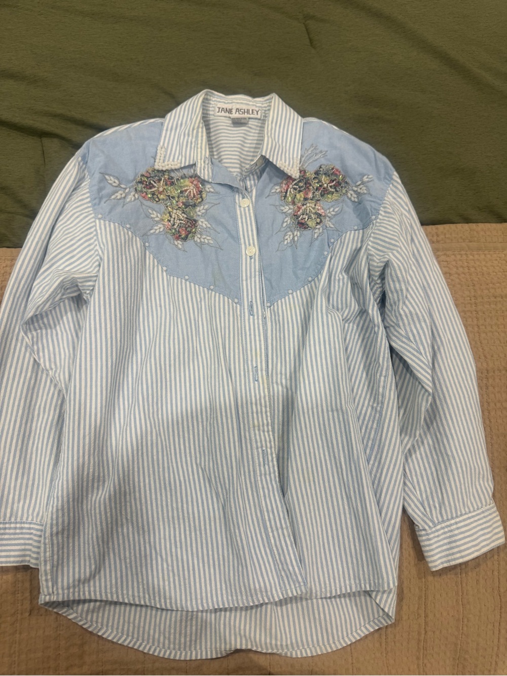 Jane Ashley Blue & White Striped Embroidered Western Button-Down
